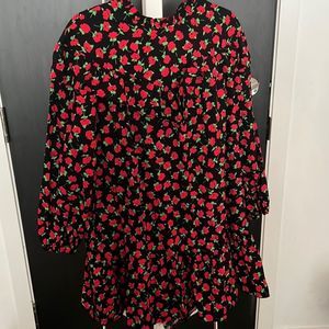 NWOT Zara floral mini dress - long sleeve, ruffle at hem and neck - large